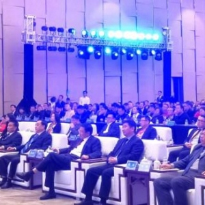 【红树林金融观察001期】中国经济向南，北海税收政策牵引力