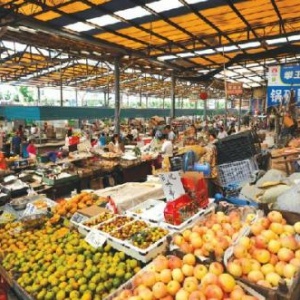 关乎2亿人就业 榕树贷款“科技+金融”合力纾困个体户