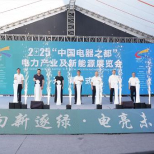 电工展会精彩不断！2025“中国电器之都”电力产业及新能源展览会在乐清圆满收官！