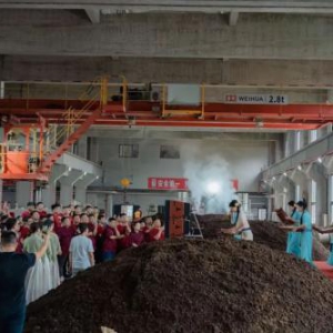 粽情端午醉意肆玖端午制曲封坛大典活动