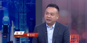 民族品牌崛起之路 新能源光伏产业创新发展探析