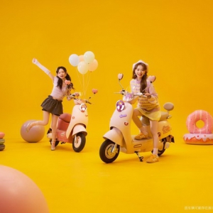 女性电动车选购指南：新日甜心对比爱玛露娜全面解析