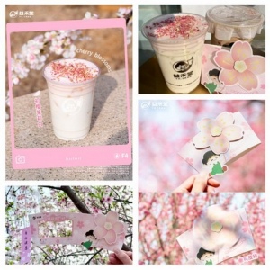 益禾堂樱花季五周年重磅来袭，三款限定饮品开启春日浪漫