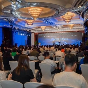 AI时代企业出海战略：标准化助力数字化转型与可持续发展