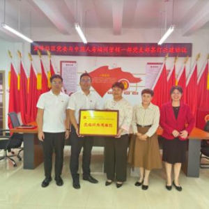 中国人寿福州营销部与亚峰社区开展党建共建活动