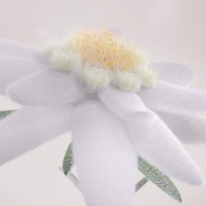 细胞抗衰技术突破 国货美妆品牌科技实力崛起