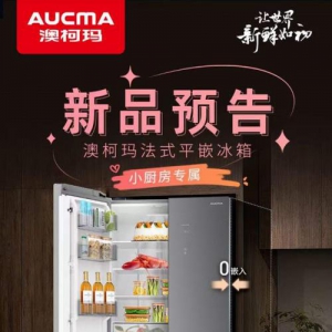 小厨房收纳难题破解法式平嵌冰箱拯救空间困境