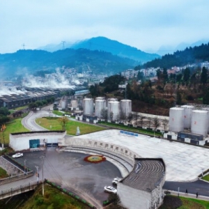 原酒产业破局之道：个性化定制如何引领白酒消费新趋势