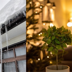 冬日里的暖意 花王“润”心相伴