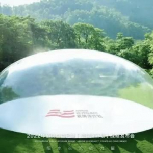 企业生态公益新模式：从植树造林到国际舞台的绿色实践