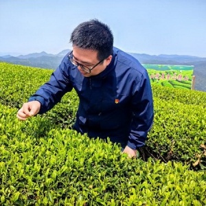 中国人寿寿险福州分公司第二营销服务部党支部开展“茶香寻韵·红色铸魂”主题实践活动