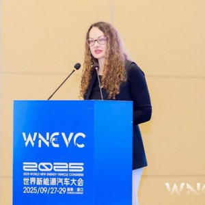 BSI亮相第七届世界新能源汽车大会，共话产业可持续未来