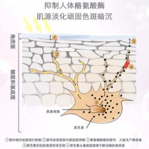 超越肽安密多，中国有自己的地表最强美白成分！