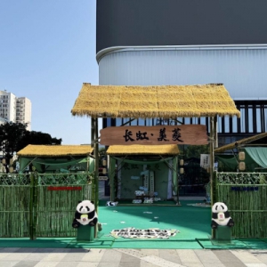 长虹·美菱618联动国宝IP，演绎国货AI家电新势能