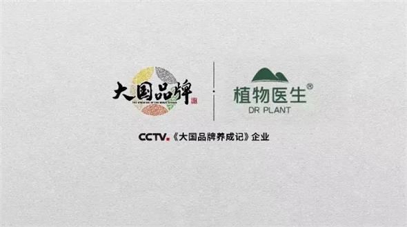 文章详情图片
