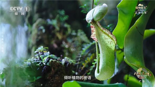 文章详情图片