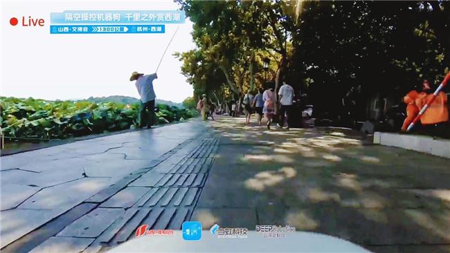 文章详情图片