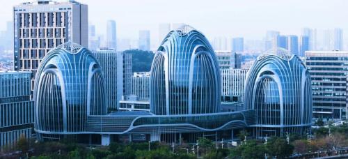 文章详情图片