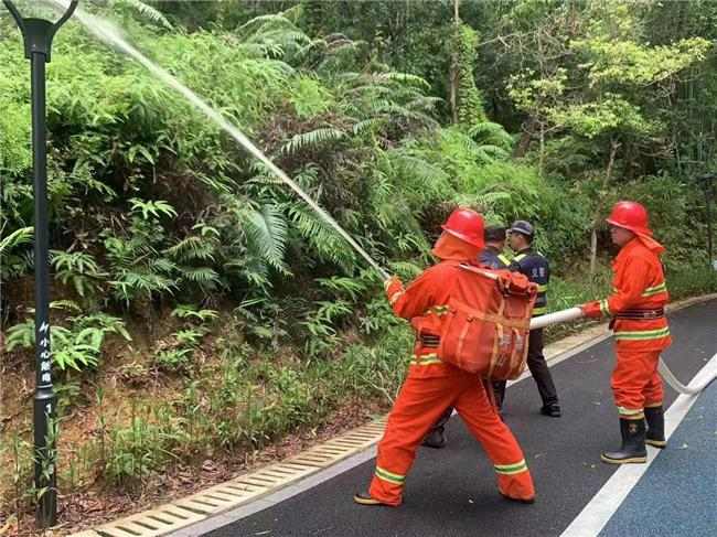 文章详情图片