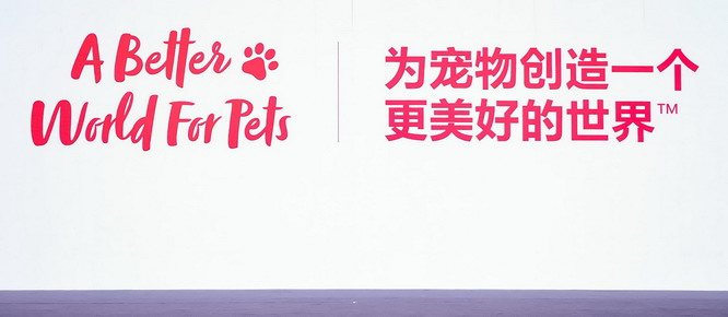 文章详情图片