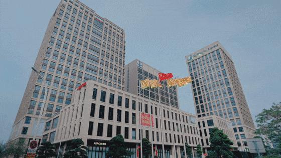 文章详情图片
