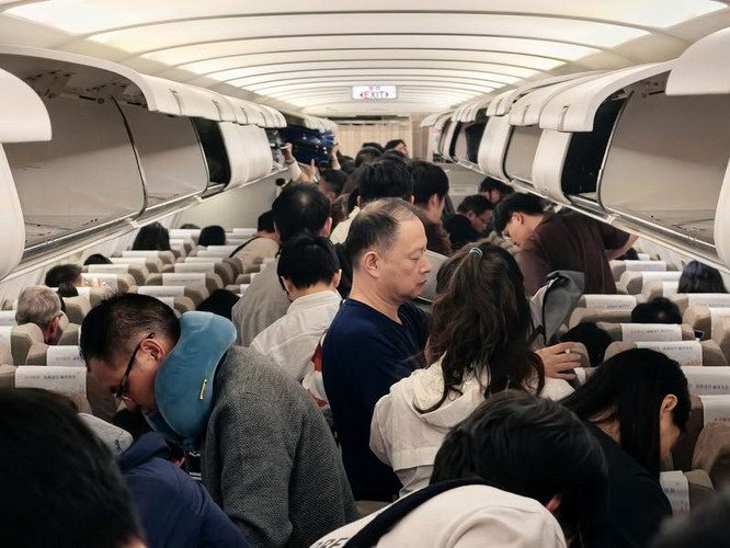 文章详情图片