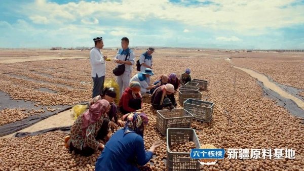 文章详情图片