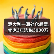 意大利一海外仓暴雷，卖家3年逃税3000万（图3）