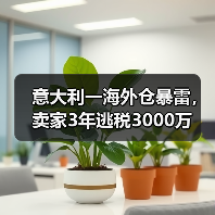 意大利一海外仓暴雷，卖家3年逃税3000万（图1）
