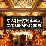 意大利一海外仓暴雷，卖家3年逃税3000万（图4）