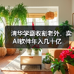 清华学霸收割老外，卖AI软件年入几十亿（图2）