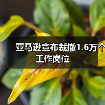 亚马逊宣布裁撤1.6万个工作岗位（图4）