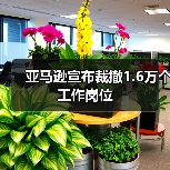 亚马逊宣布裁撤1.6万个工作岗位（图2）