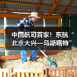 中国航司首家!东航“北京大兴—马斯喀特”直飞航线11月底开通(图3) 中国航司首家!东航“北京大兴—马斯喀特”直飞航线11月底开通(图3)