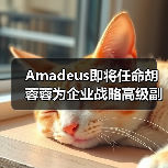 Amadeus任命胡蓉蓉为全球企业战略主管兼高级副总裁