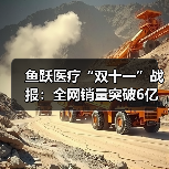鱼跃医疗“双十一”战报:全网销量突破6亿 蝉联家用医疗器械行业第一(图2) 鱼跃医疗“双十一”战报:全网销量突破6亿 蝉联家用医疗器械行业第一(图2)