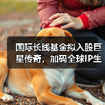 国际长线基金拟入股巨星传奇，加码全球IP生态布局