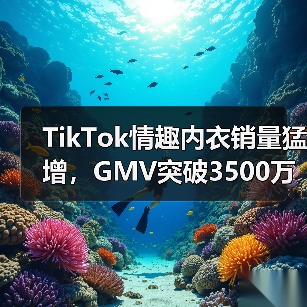 TikTok情趣内衣销量猛增，GMV突破3500万（图1）