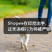 东南亚跨境电商监管升级与市场竞争分析