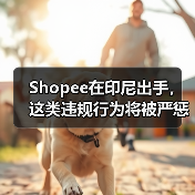 Shopee在印尼出手,这类违规行为将被严惩(图3) Shopee在印尼出手,这类违规行为将被严惩(图3)