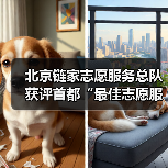北京链家志愿服务总队获评首都“最佳志愿服务组织”（图2）