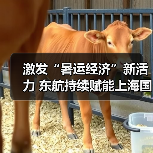 激发“暑运经济”新活力 东航持续赋能上海国际航空枢纽建设(图4) 激发“暑运经济”新活力 东航持续赋能上海国际航空枢纽建设(图4)