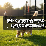 贵州文旅携手霸王茶姬,解锁多彩暑期新体验(图4) 贵州文旅携手霸王茶姬,解锁多彩暑期新体验(图4)