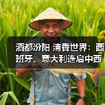 酒都汾阳 清香世界:西班牙、意大利连启中西酒业合作新篇(图4) 酒都汾阳 清香世界:西班牙、意大利连启中西酒业合作新篇(图4)