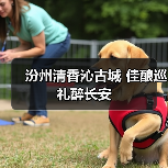 汾州清香沁古城 佳酿巡礼醉长安(图2) 汾州清香沁古城 佳酿巡礼醉长安(图2)