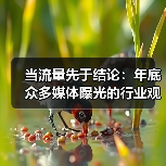 当流量先于结论:年底众多媒体曝光的行业观察(图3) 当流量先于结论:年底众多媒体曝光的行业观察(图3)