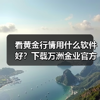 如何选择靠谱黄金行情软件：安全技术解析