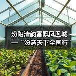 清香白酒文化交融，汾阳银川共拓市场