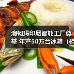 澳柯玛印尼智能工厂奠基 年产50万台冰箱(柜)项目启动(图2) 澳柯玛印尼智能工厂奠基 年产50万台冰箱(柜)项目启动(图2)
