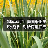 美加关税争端凸显单边主义危机